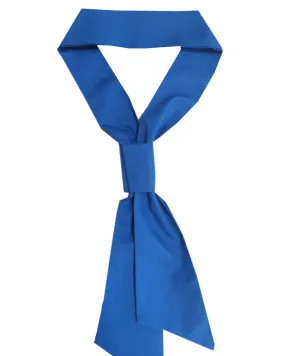 Home Kitchen Restaurant Hotel Waiter Necktie Neckerchief