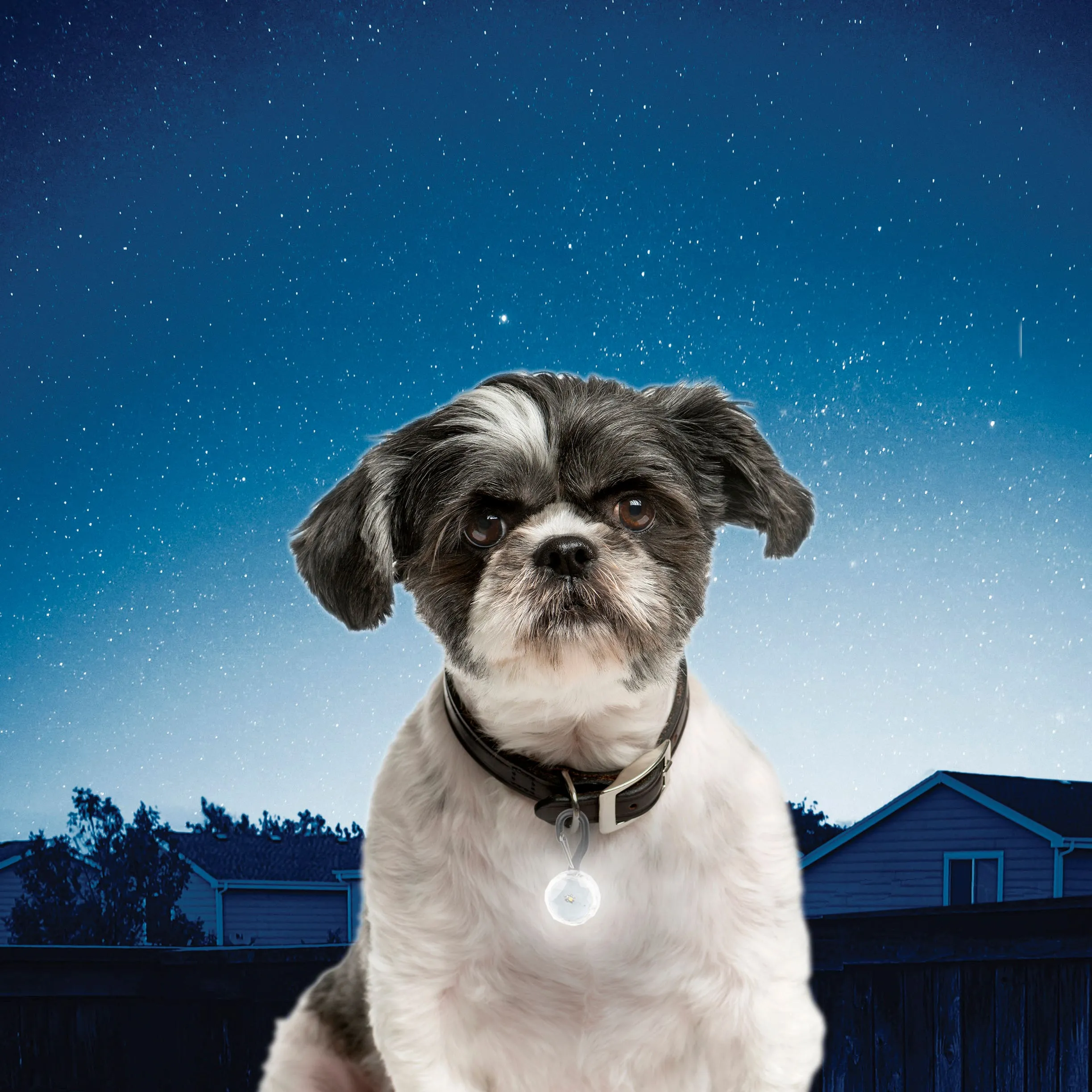LED spotlit collar light -crystal jewel