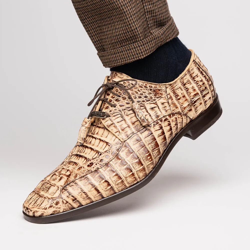 Marco Di Milano Apricena Caiman Fuscus Rus Orix