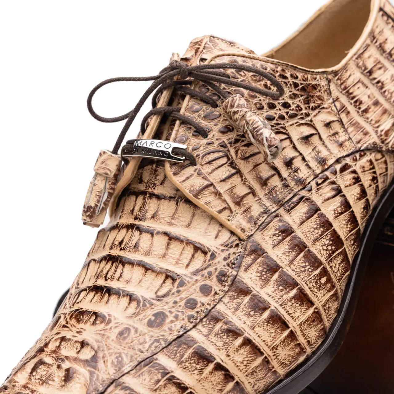 Marco Di Milano Apricena Caiman Fuscus Rus Orix